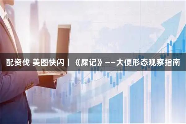 配资伐 美图快闪丨《屎记》——大便形态观察指南