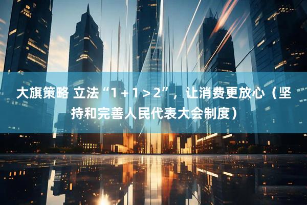 大旗策略 立法“1＋1＞2”，让消费更放心（坚持和完善人民代表大会制度）